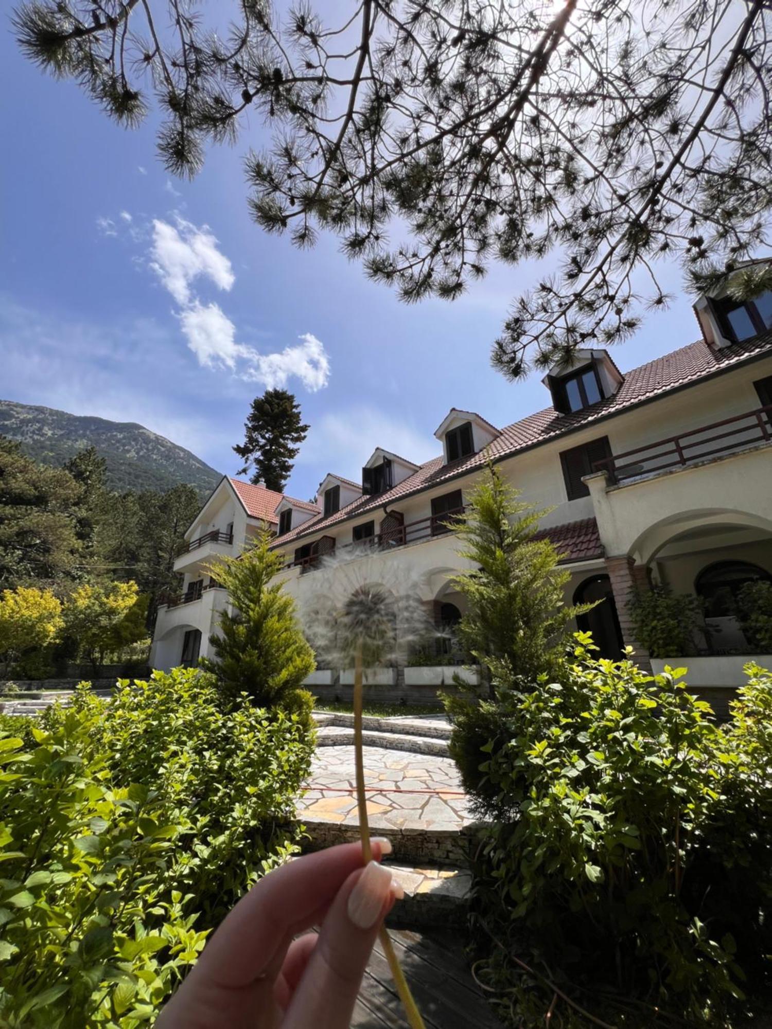 Alpin Llogara