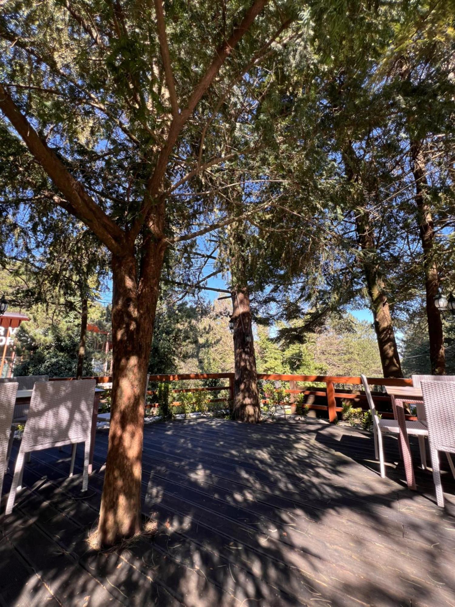 Hotel Alpin Llogara