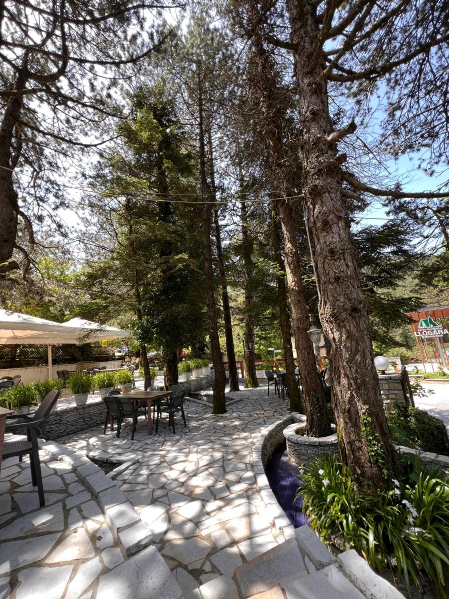 Hotel Alpin Llogara 4*